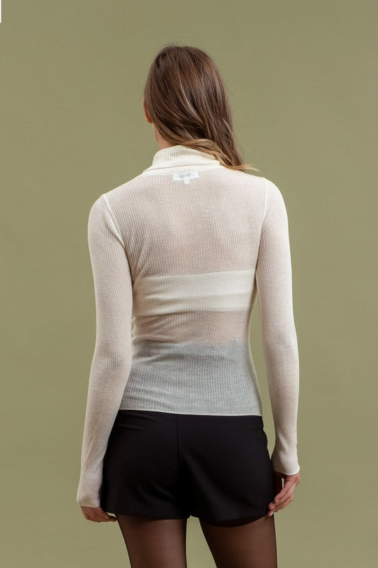 Sheer Turtle Neck Long Sleeve Knit Top